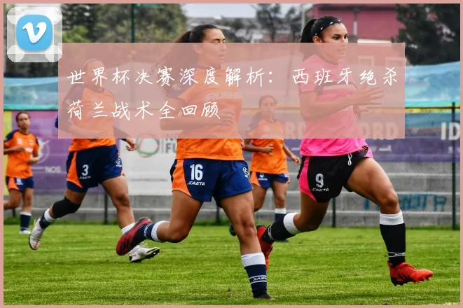 世界杯决赛深度解析:西班牙绝杀荷兰战术全回顾