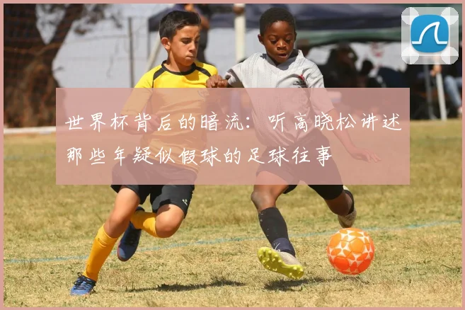 世界杯背后的暗流：听高晓松讲述那些年疑似假球的足球往事