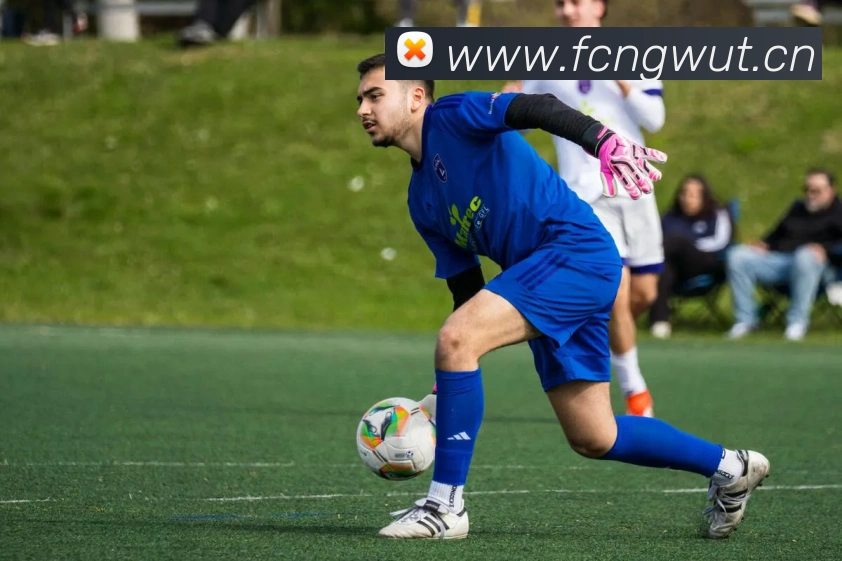 多媒体互动体验