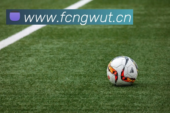 开云kaiyun.cn官网APP 高清赛事图